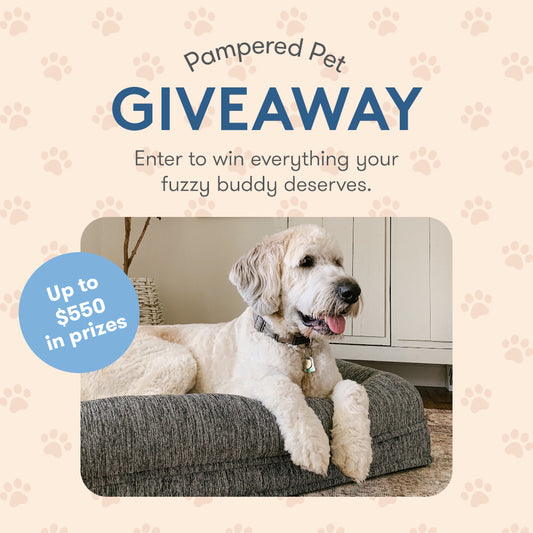 Pampered Pet Giveaway