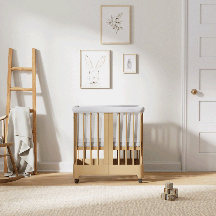 Gif with natural bassinet through crib settings
skip