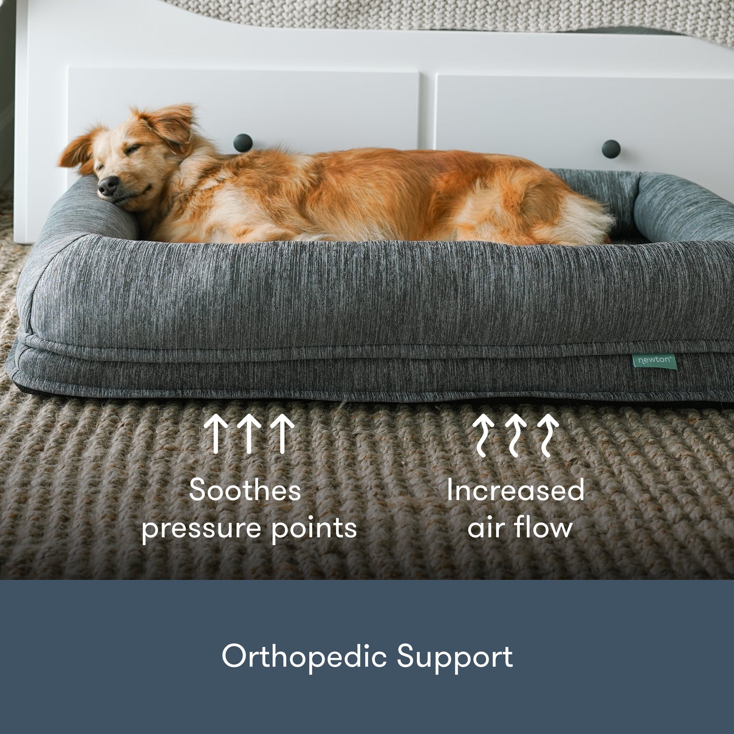image of a dog sleeping peacefully on large pet bed with text, "soothes pressure points, increased airflow, orthopedic support"