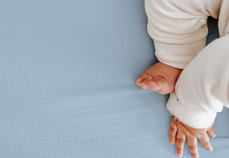 Breathable, Organic Cotton Sheets (2-pack) 999-3520-BNB 999-3020-BNB