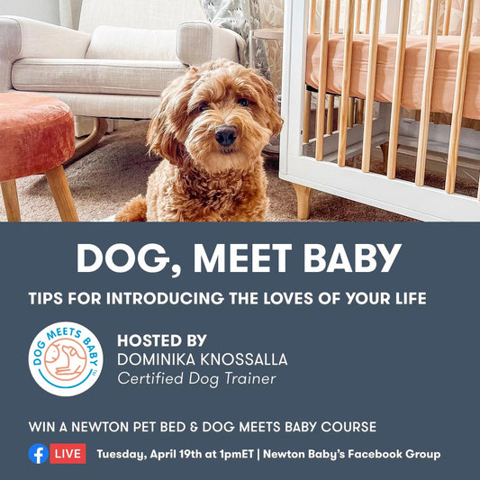 Dog Meets Baby x Newton Baby Giveaway