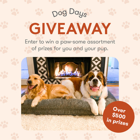Dog Days Giveaway