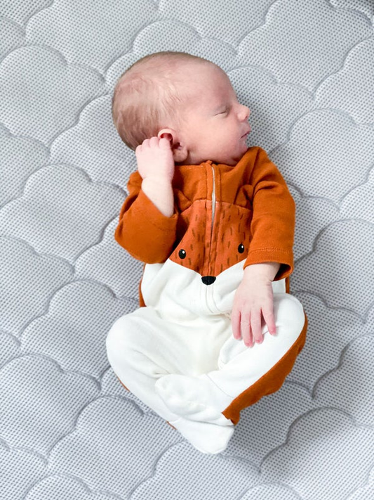 Newton Dupes: Mattress & Bassinet