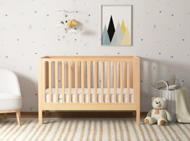 Newton Baby Newton Baby