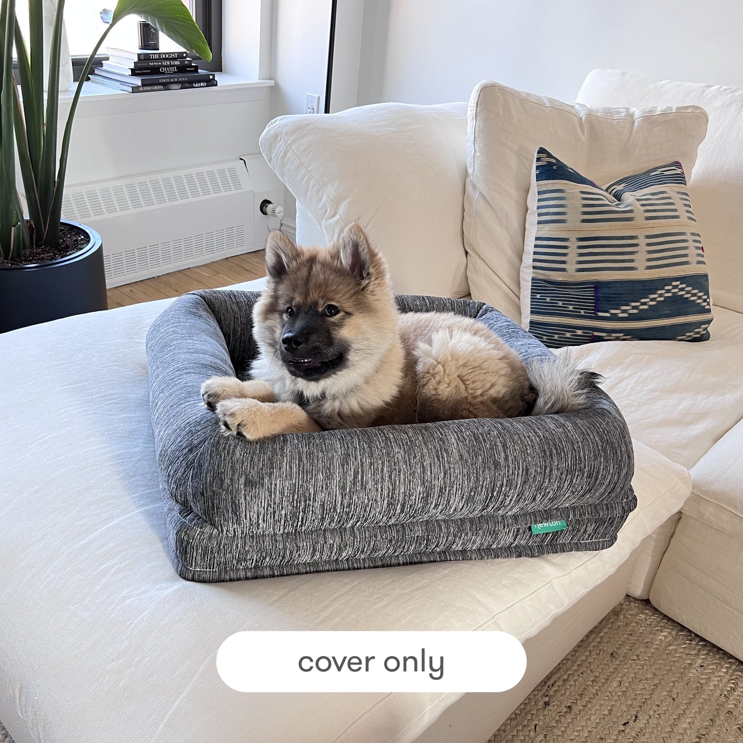 dog laying on newton pet bed with text, "cover only"