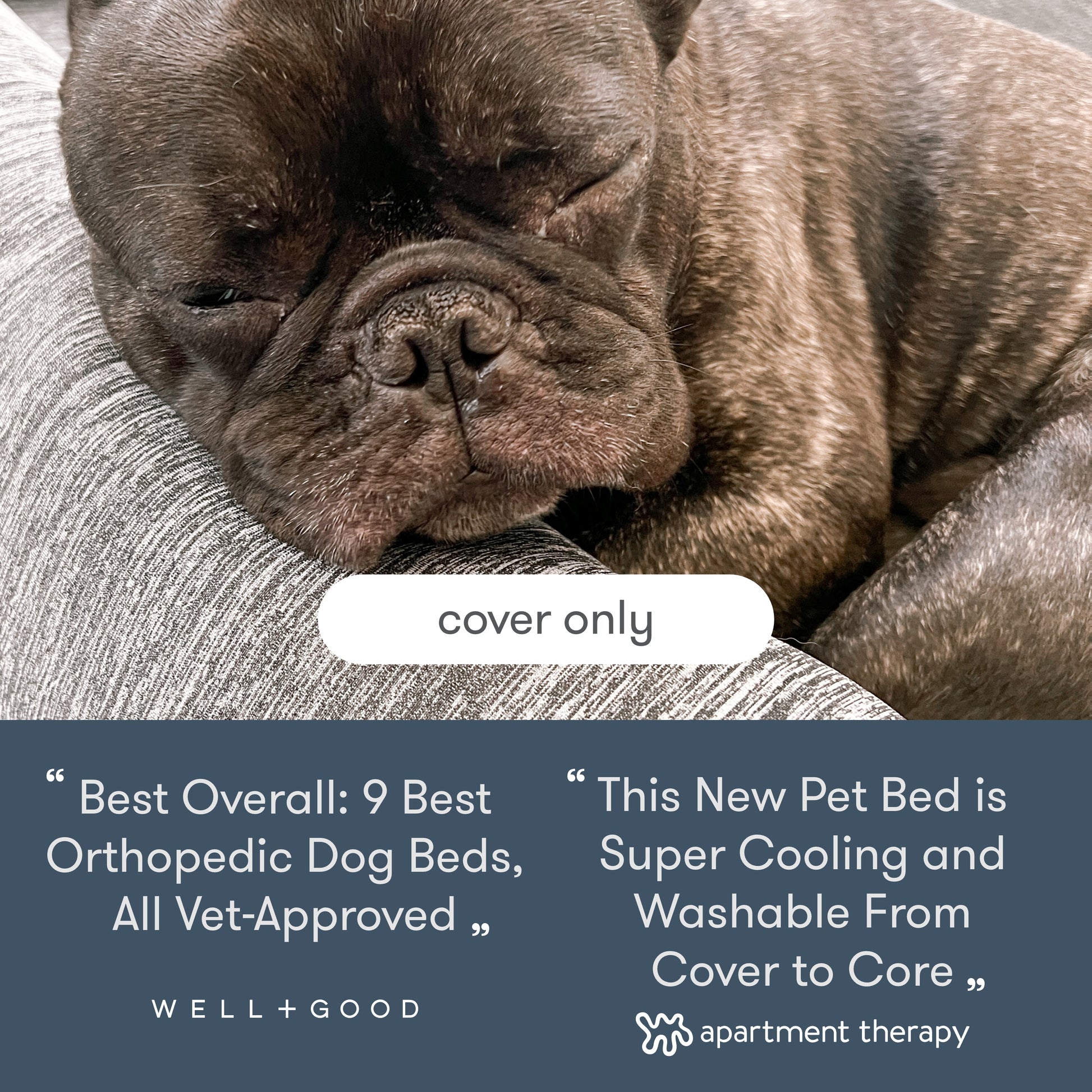 dog laying on newton pet bed with text, "cover only" with reviews "best oveall: 9 best orthopedic dog beds all vet approved - well+good, This new pet bed is super cooling and washable from cover to core -apartment therapy"