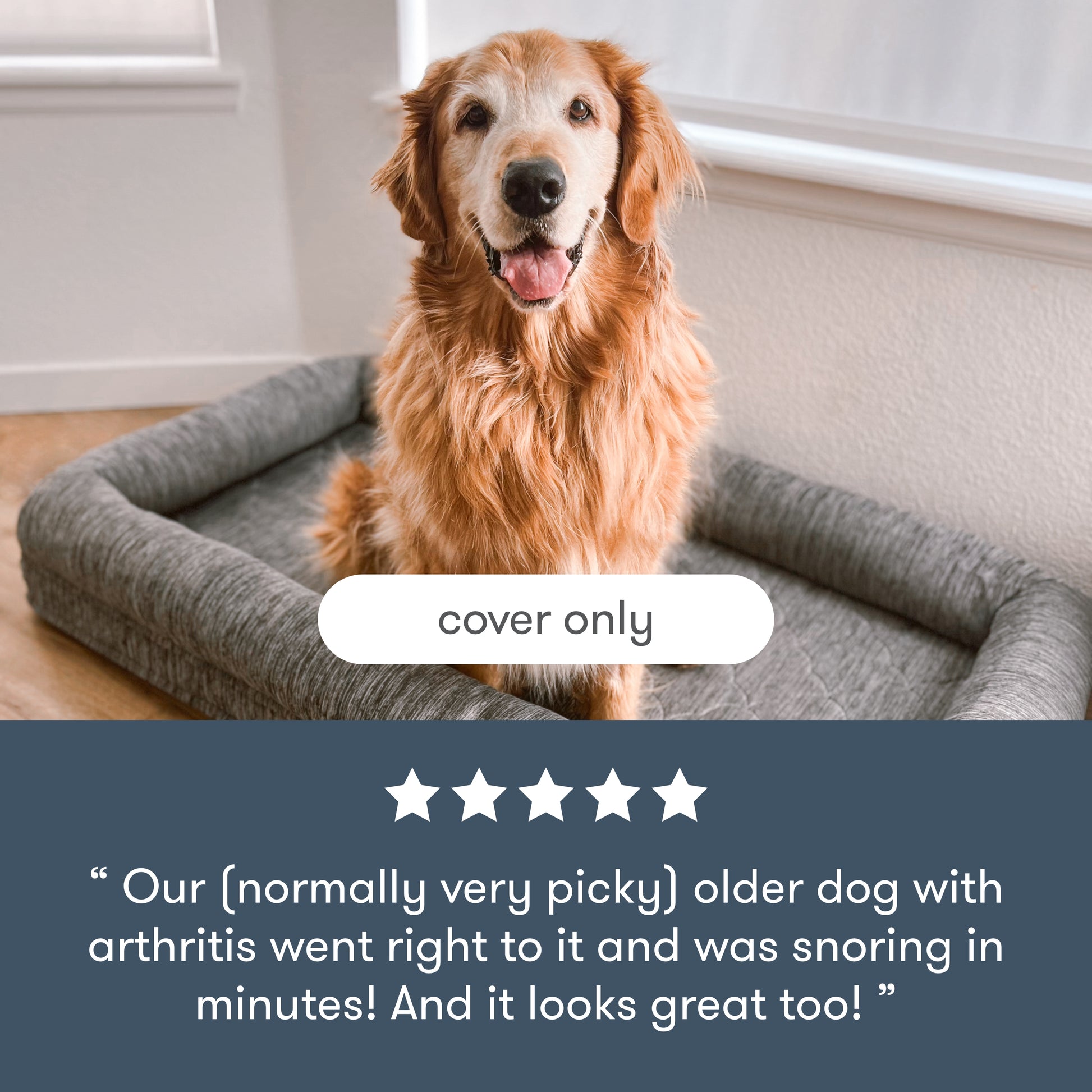 dog laying on newton pet bed with text, "cover only", with a 5 star review that reads "our (normally very picky) older dog with arthritis went right to it and was snoring in minutes! And it looks great too!"