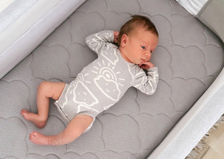 Newborn