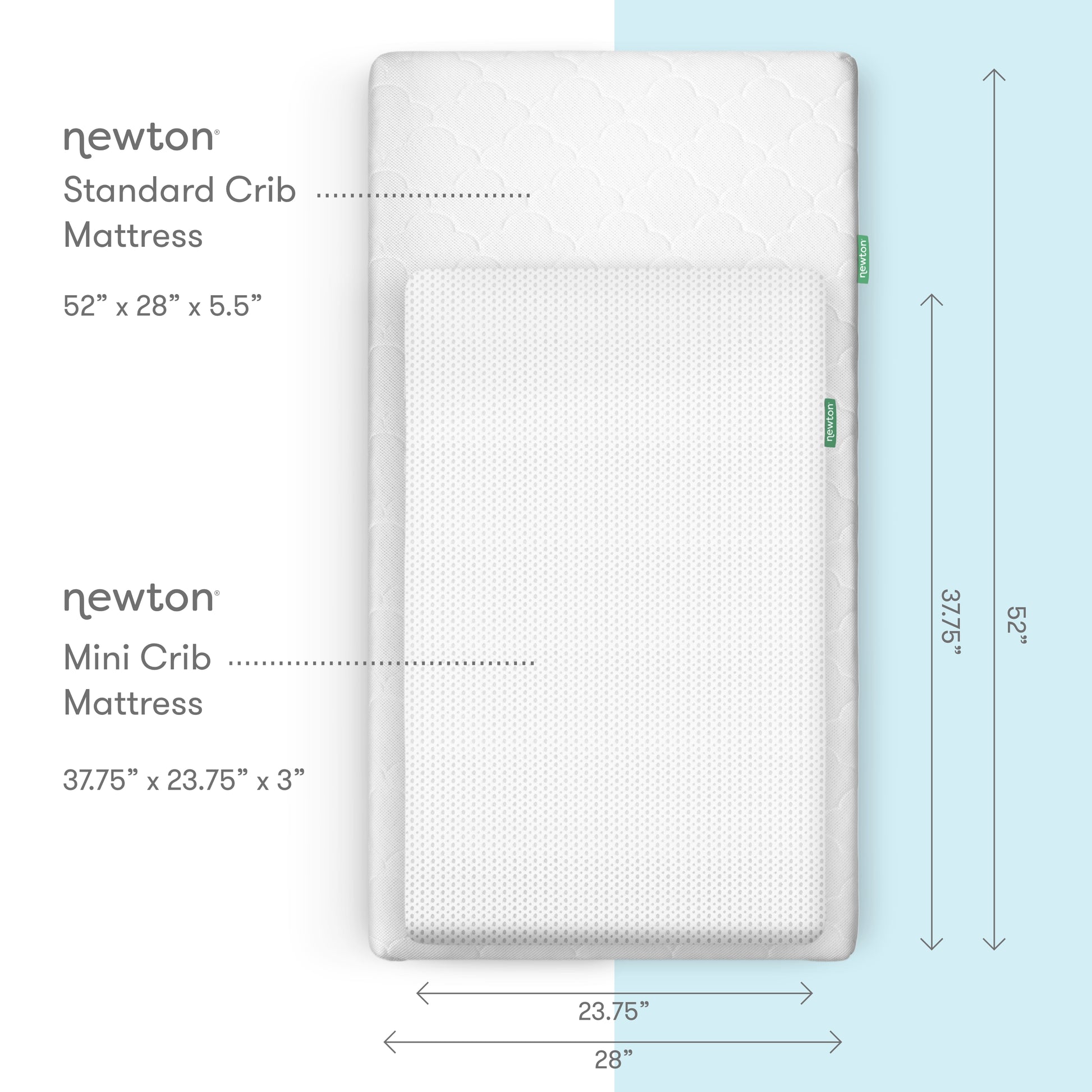 comparison chart between newton standard crib mattress and newton mini crib mattress with measurements included. 
