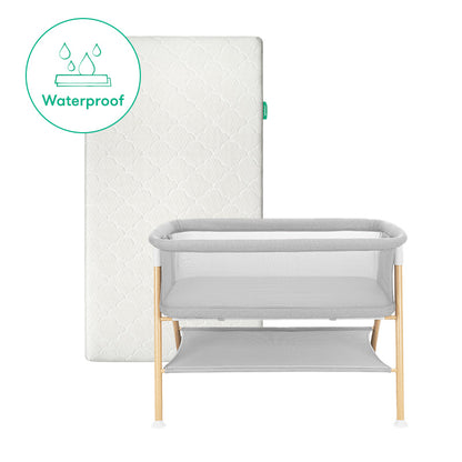 Essential Bassinet & Waterproof Mattress