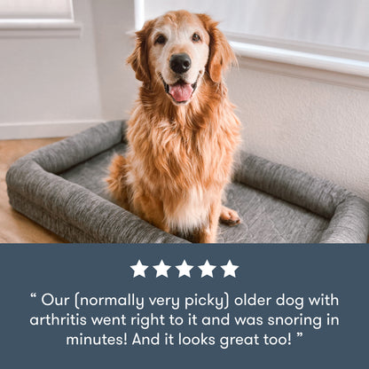 senior dog sitting upright on newton pet bed, with five star review, with text "Our (normally very picky) older dog with arthritis went right to it and was snoring in minutes! And it looks good too!"