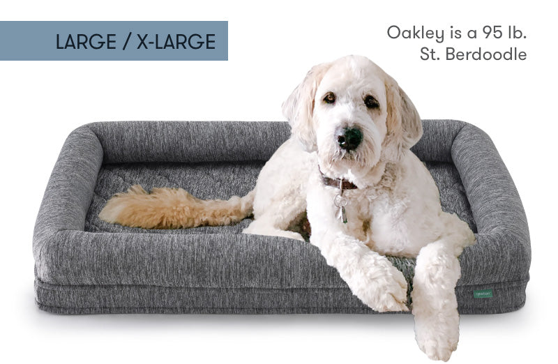 Large/X-Large grey dog bed featuring Oakley, a 95 lb. St. Berdoodle, comfortably lounging. 999-4405-HGY 999-1402-HGY
