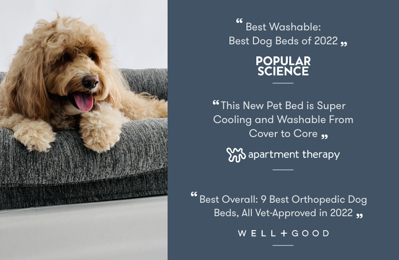 Washable Orthopedic Pet Bed