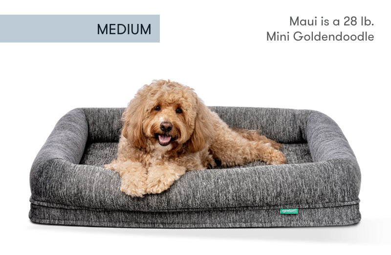 Medium dog 999-4404-HGY 999-1401-HGY