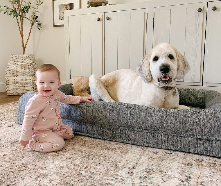Explore Our Pet Bed Breathable